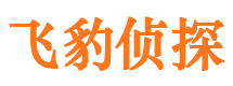 西吉找人公司